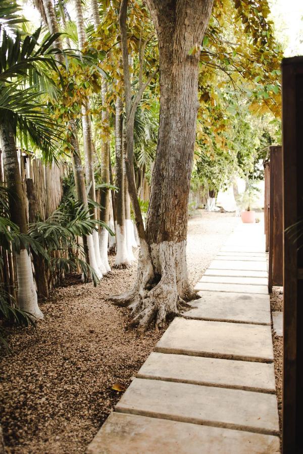 Hotel Selva Maya Bacalar Exteriér fotografie